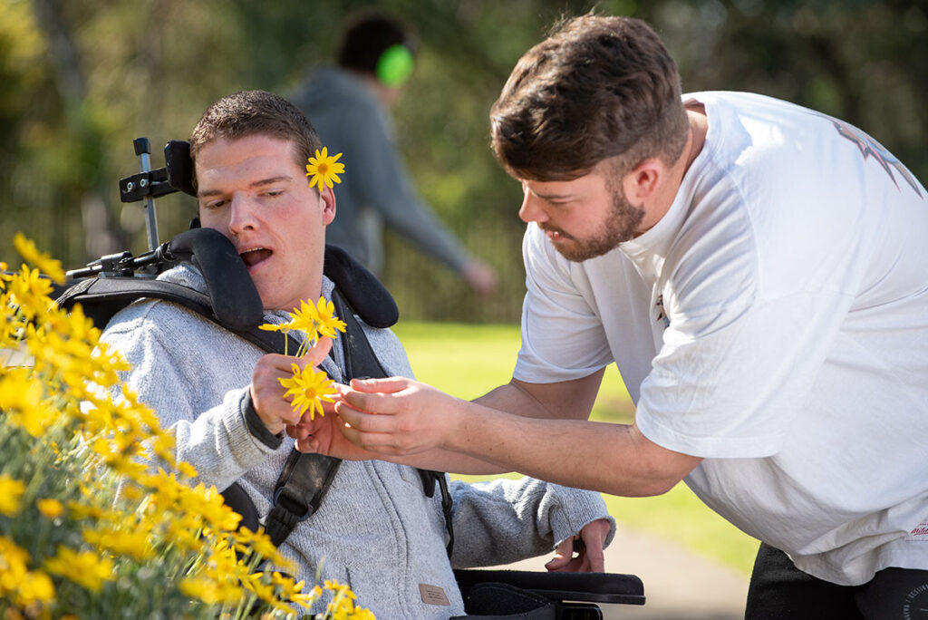 A person in a wheelchair with a support worker standing beside him. They are picking yellow daisies form a daisy bush.