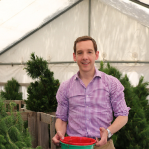 A person stands in front of Christmas Trees holding two buckets