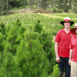 The Spirit of Giving: OC’s Partnership with Dandenong Christmas Tree Farm