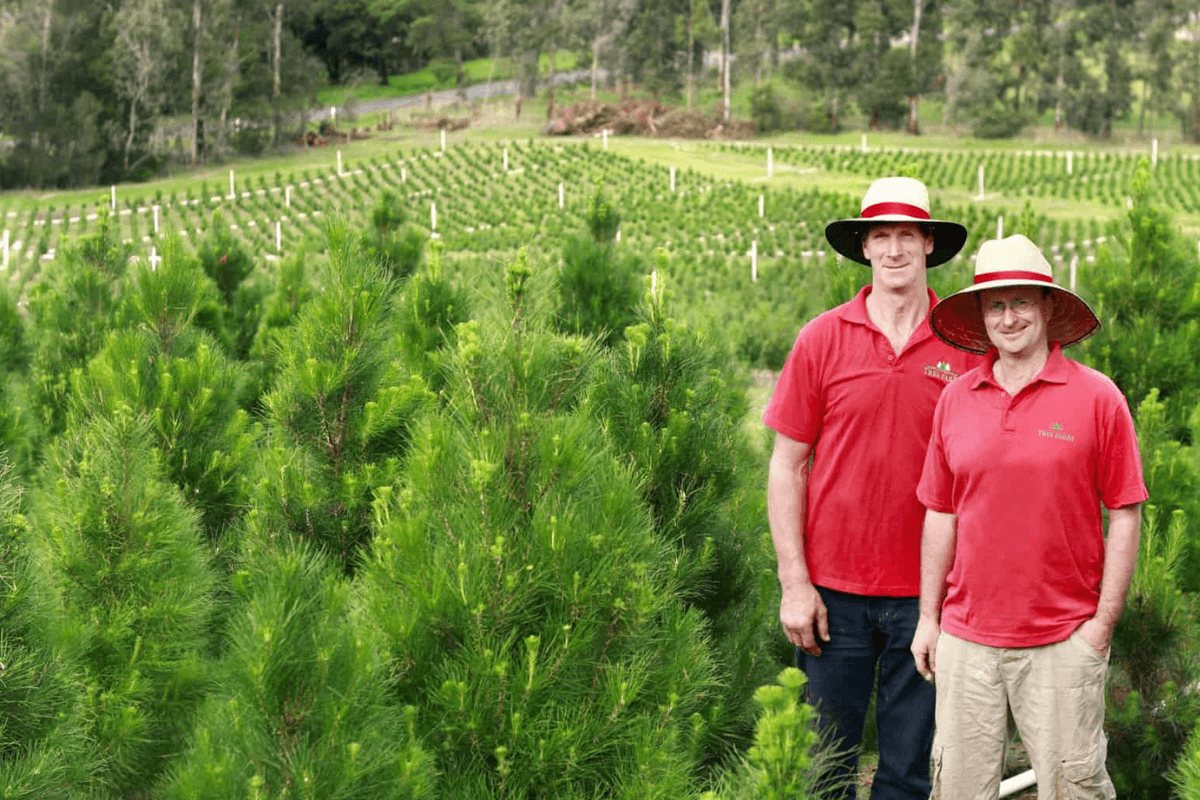 The Spirit of Giving: OC’s Partnership with Dandenong Christmas Tree Farm